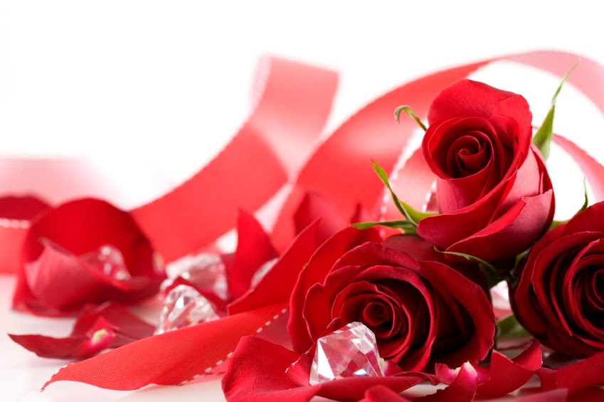 good evening roses mobile wallpapers