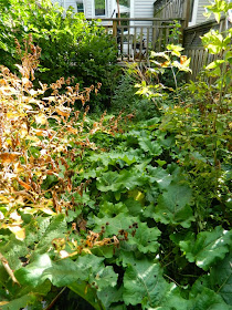 Toronto Leslieville backyard garden cleanup before Paul Jung Gardening Services