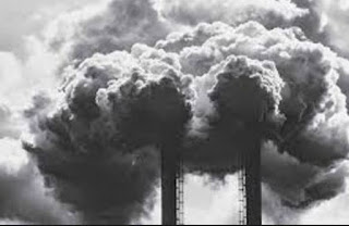 Pengertian dan Manfaat Reboisasi Serta Penghijauan