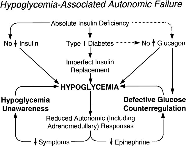 Hypoglycemia, Diabetes and Other Related Diseases