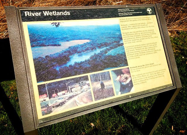 River Wetlands Sign at Bushkill Access