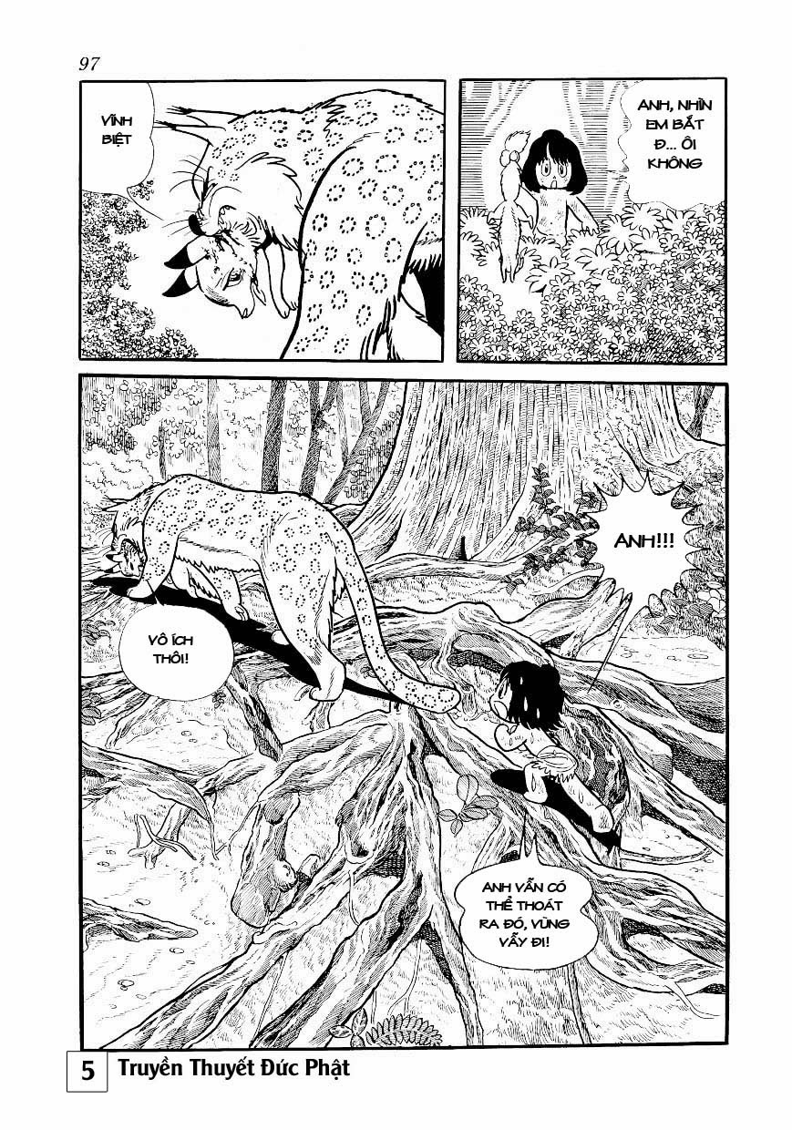 Buddha - Truyền Thuyết Đức Phật chap 24