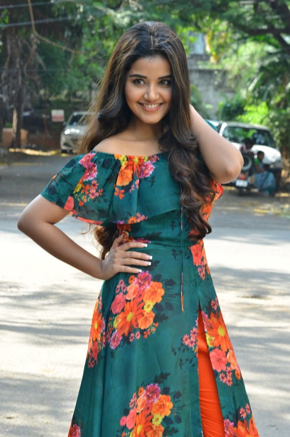 Anupama Parameswaran at Hello Guru Prema Kosame Promotions