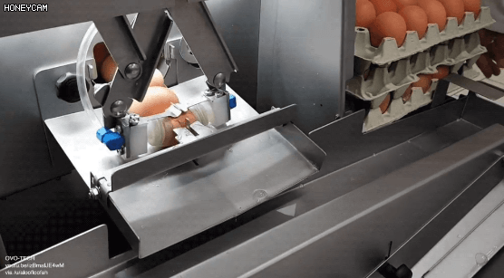 계란 까는 기계