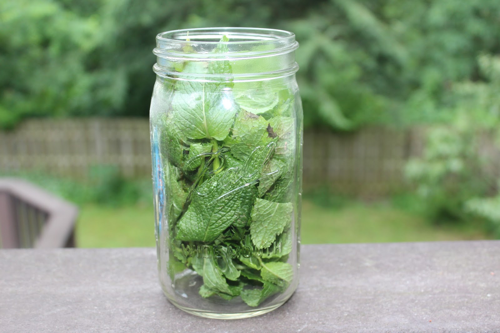 Maple Springs Farm Health Benefits of Mint and Mint Green Tea