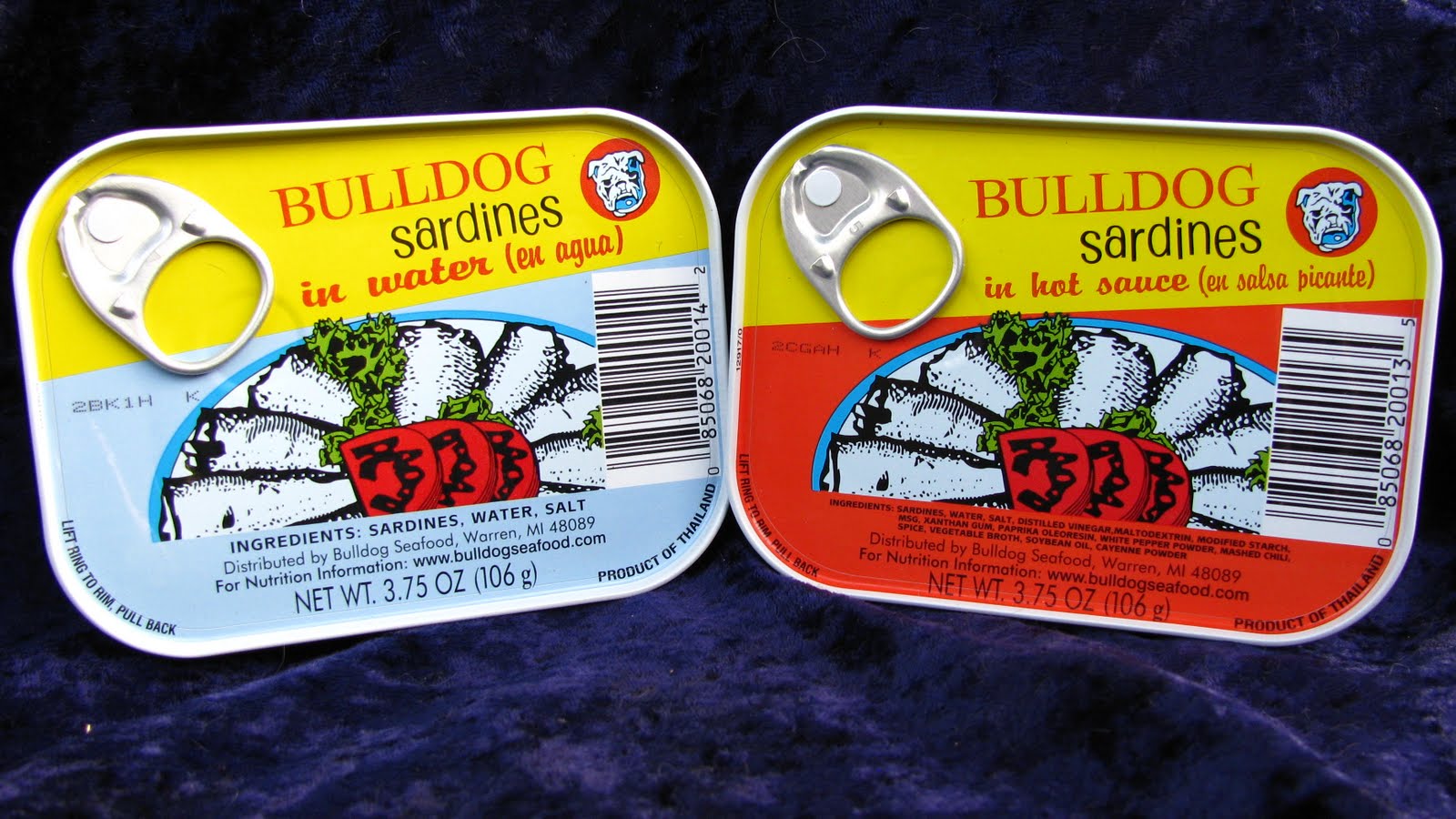 Mouth Full of Sardines BULLDOG 12