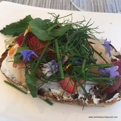 colorful bruschetta is part of paired tasting at Kendall-Jackson Wine Estate & Gardens in Fulton, California