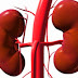 Τα συμπτώματα που σου κρούουν τον κώδωνα του κινδύνου για νεφροπάθειες!