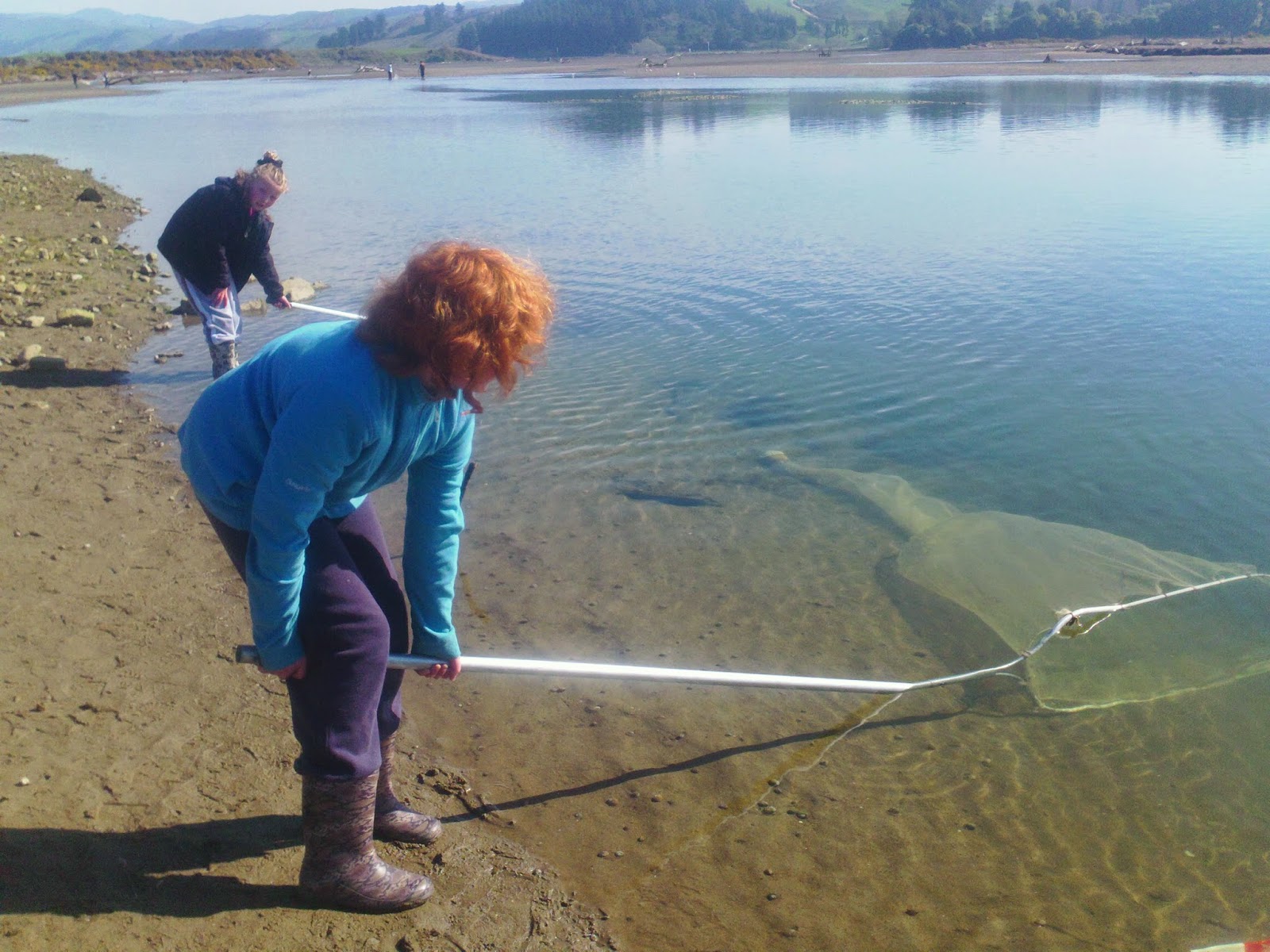 Karitane School 100 Blog Whitebaiting