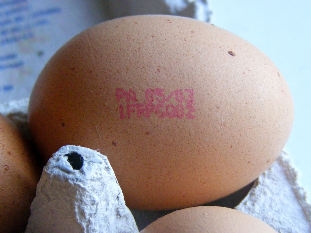 Days on the Claise: Reading Your French Egg