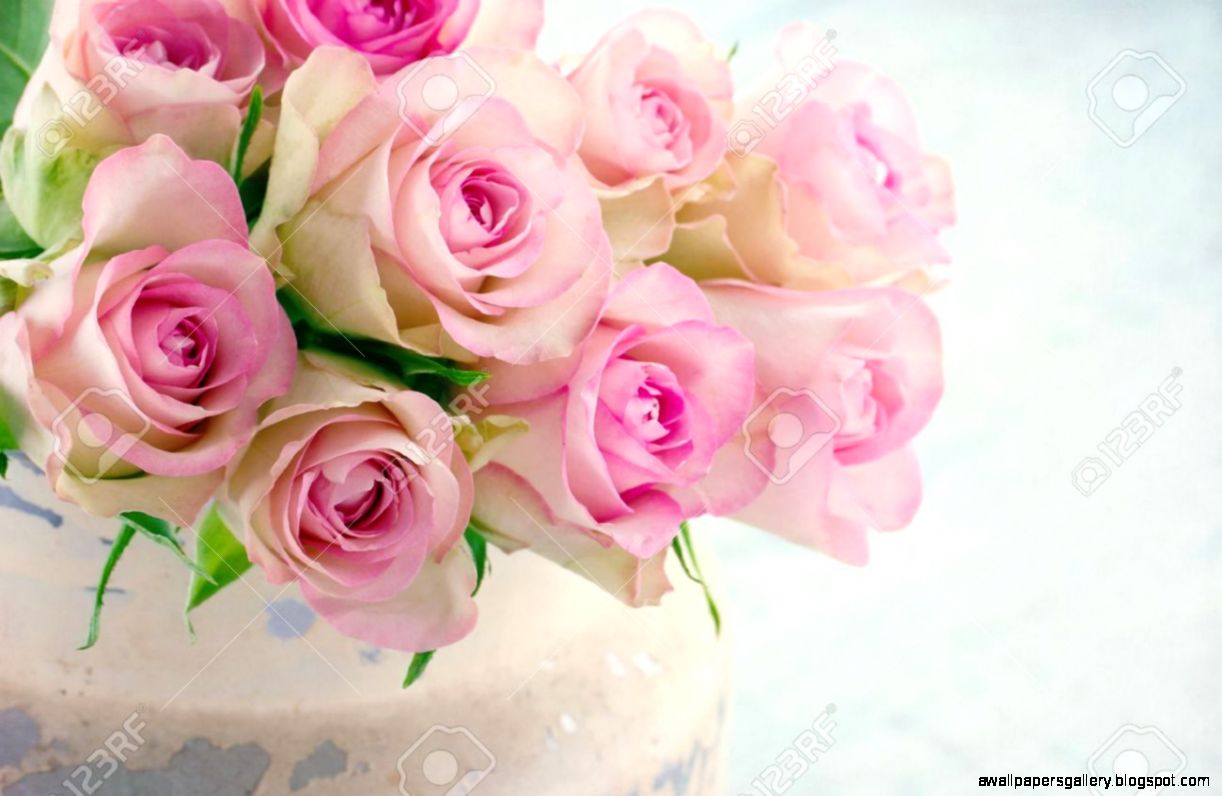 Creamy Pink Roses In A Shabby Chic Metal Bucket On Vintage Wooden