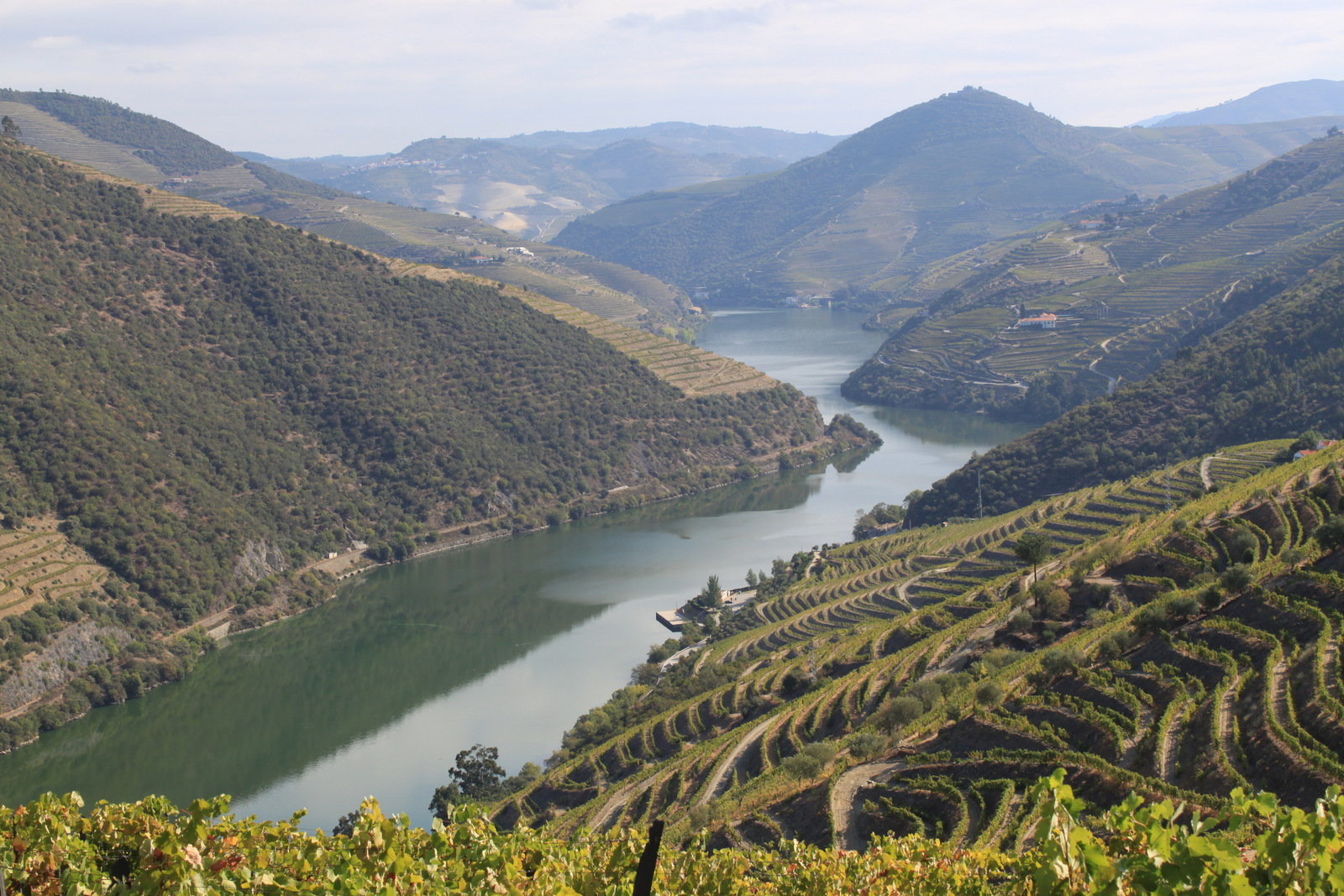 Vallée du Douro