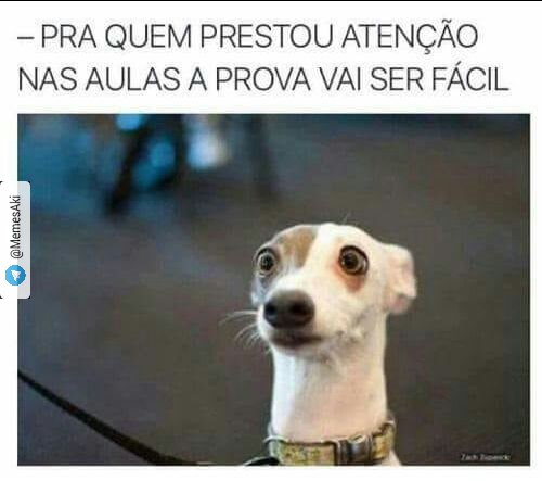 Memes+engra%25C3%25A7ados++%252833%2529.