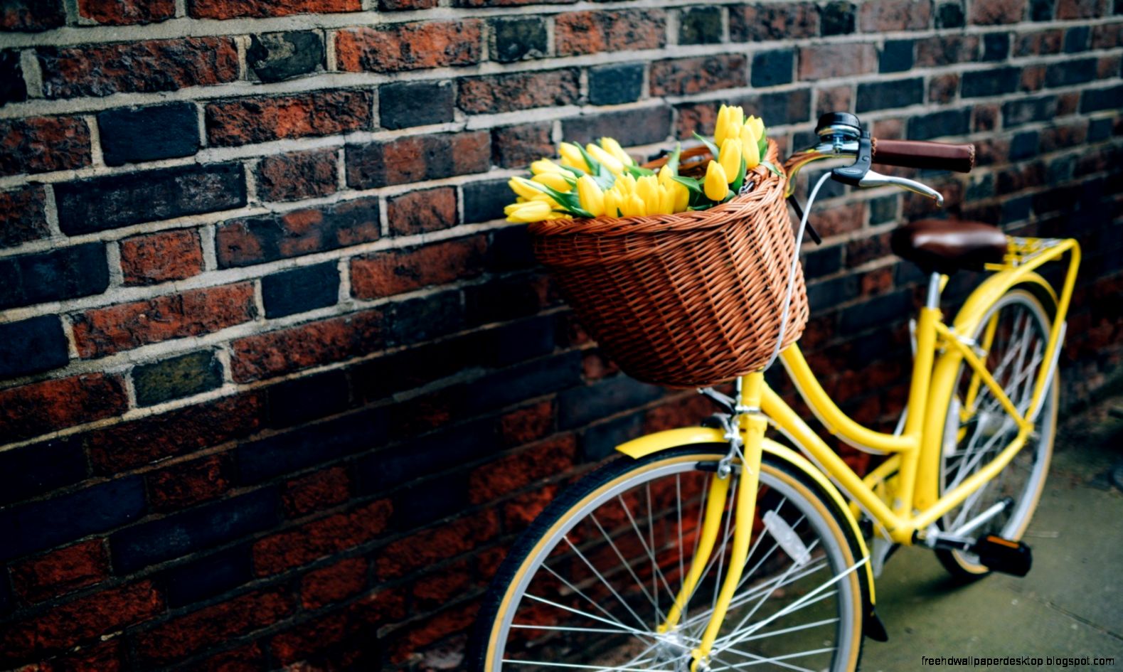 bikecycle basket flowers yellow tulips brick wall hd wallpaper