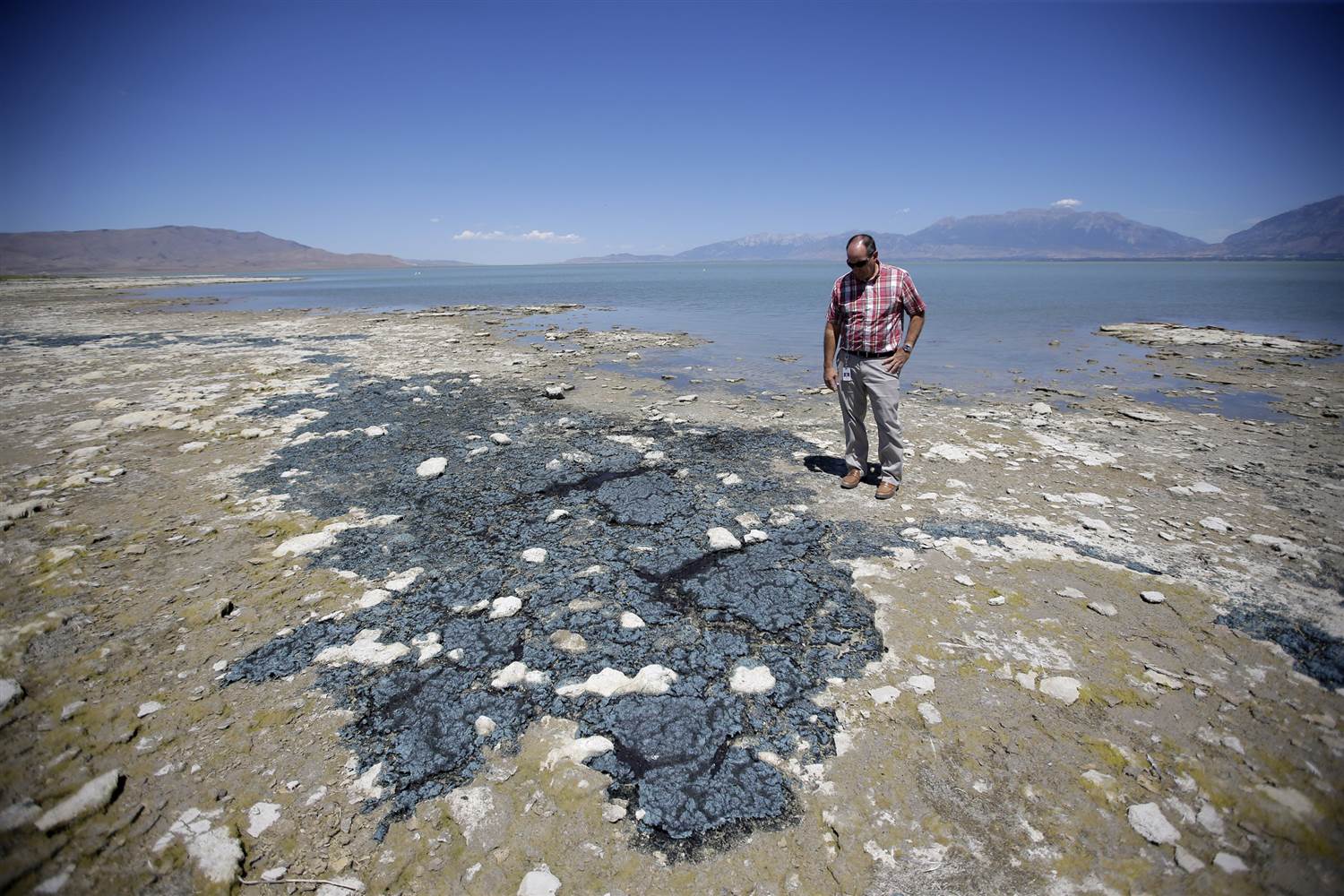 MEC&F Expert Engineers SUFFOCATING MOTHER NATURE A huge toxic blue