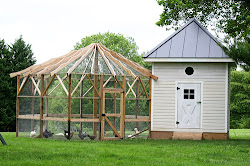 coop chicken corn crib these farm aviary building buttercup источник