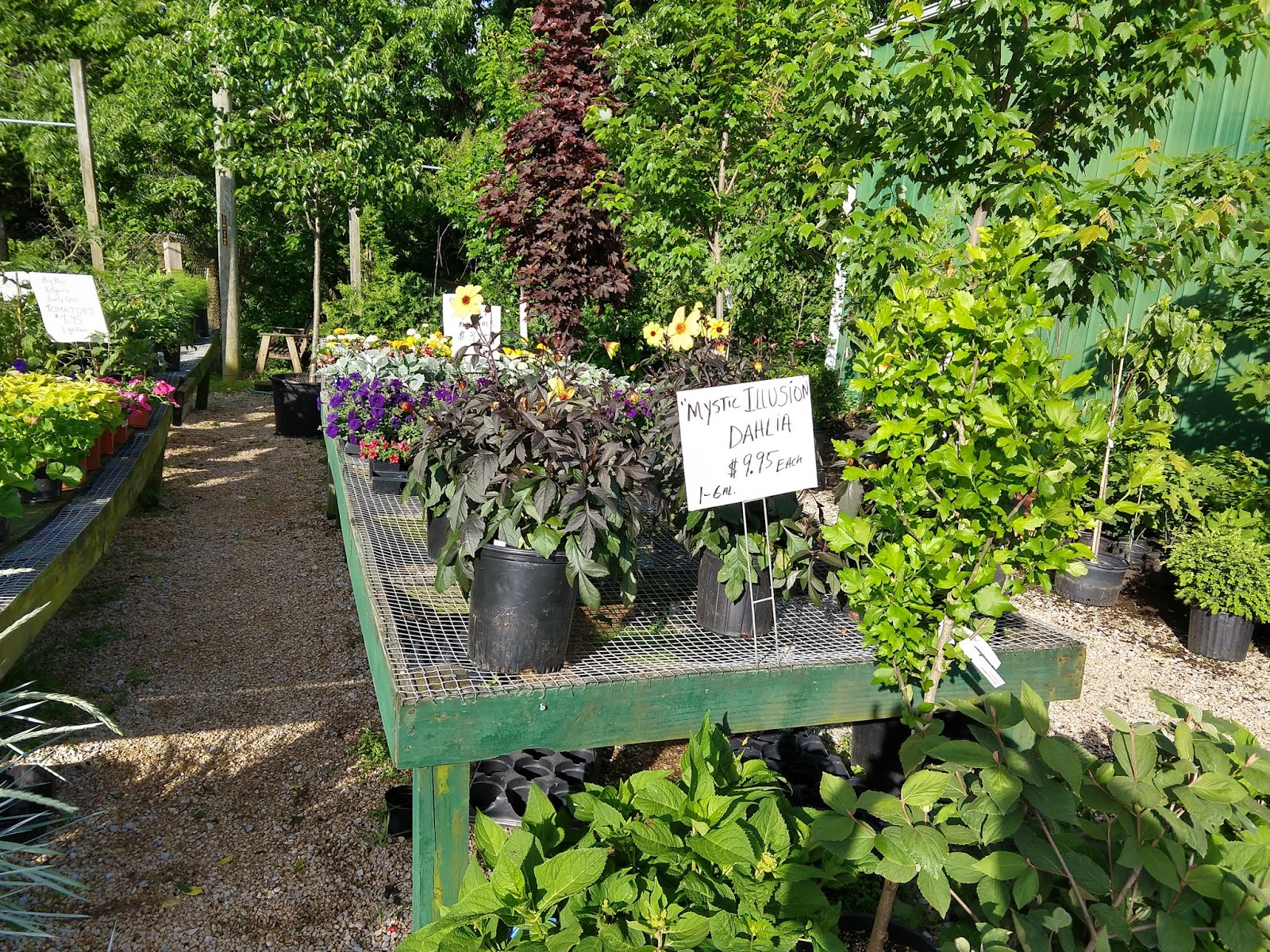 Peters Nursery & Garden Center