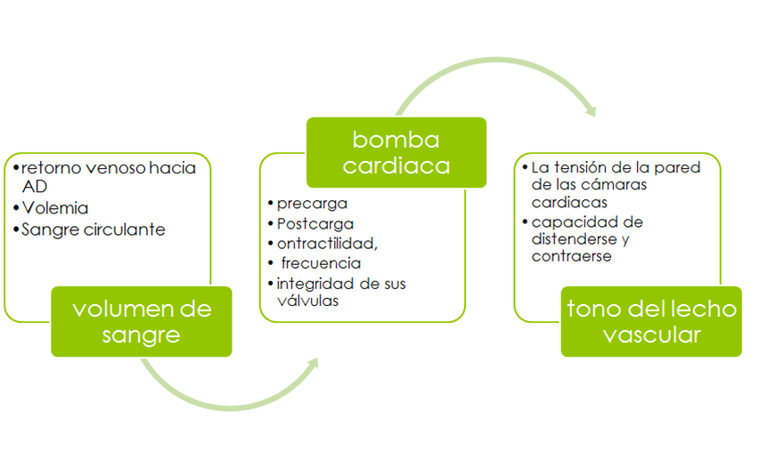 Presión venosa central PVC