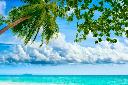 Nature wallpaper full hd for mobile free download