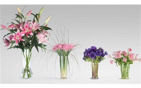 Tips Agar Bunga  di Vas Tetap segar  SCI Pusat