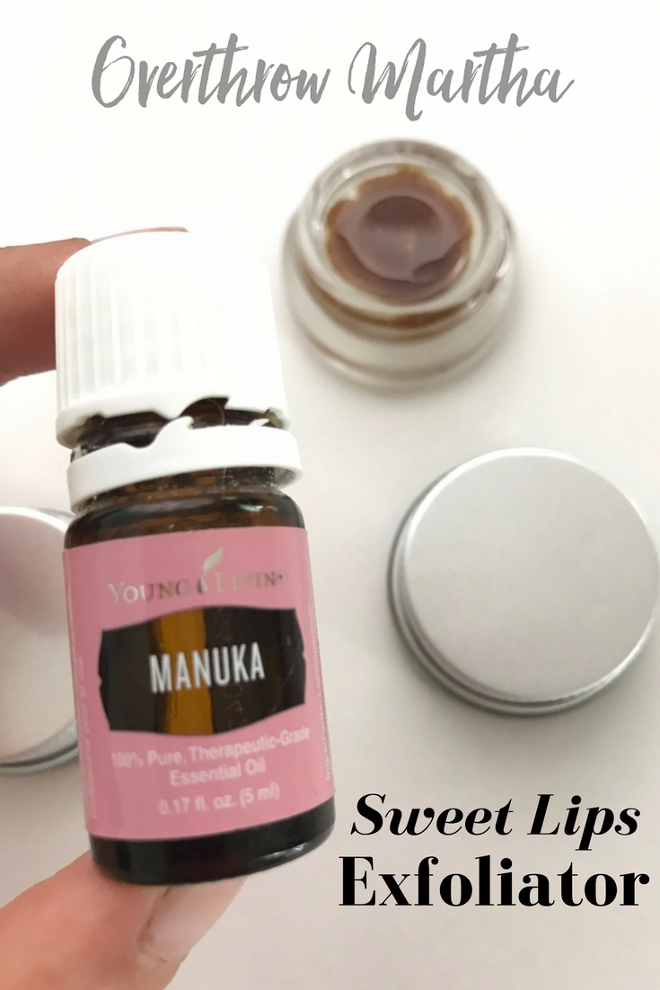 DIY Sweet Lips Exfoliator with Honey Overthrow Martha