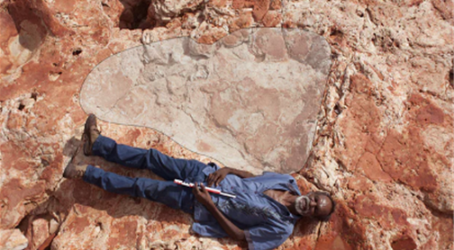 World's largest dinosaur footprints discovered in Western Australia