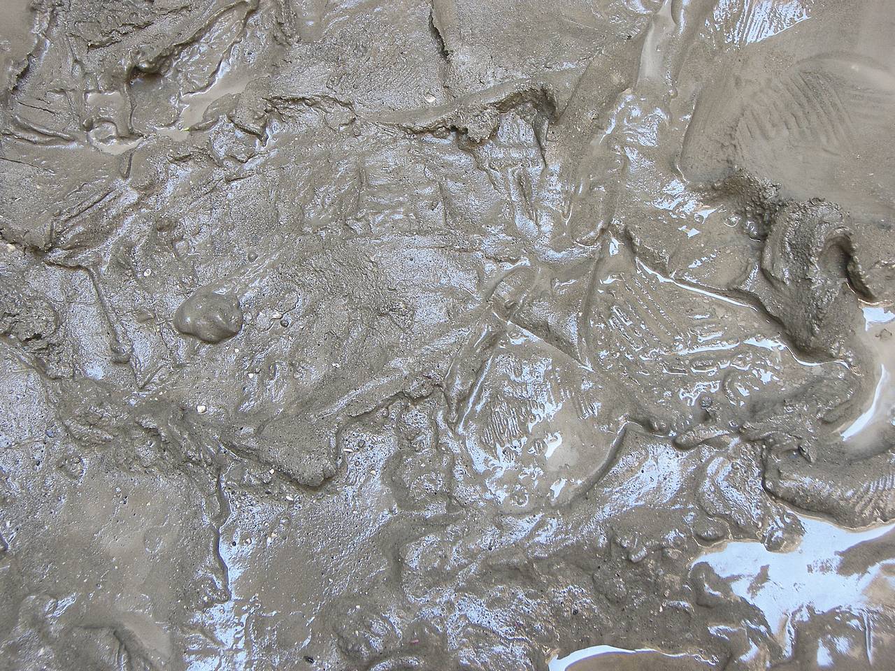 мокрый глина. мокрый глина. глинистая, песчаная, глинисто-песчаная. сырая глина. мокрый глина.