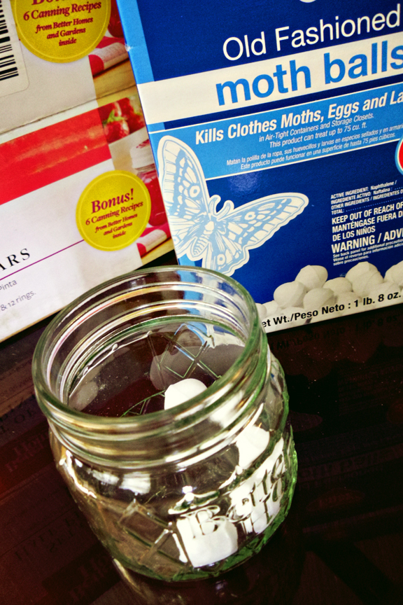 Do Moth Balls Keep Rattlesnakes Away at Nicholas Gomez blog