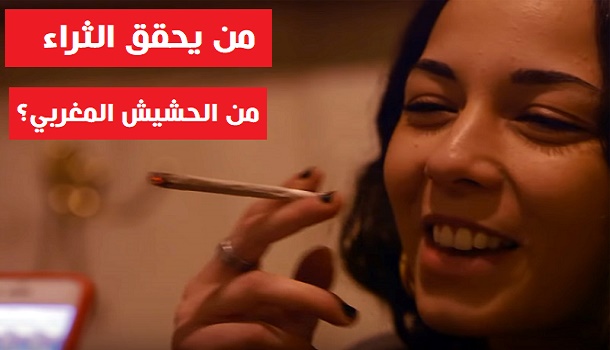 من يحقق الثراء من الحشيش المغربي؟