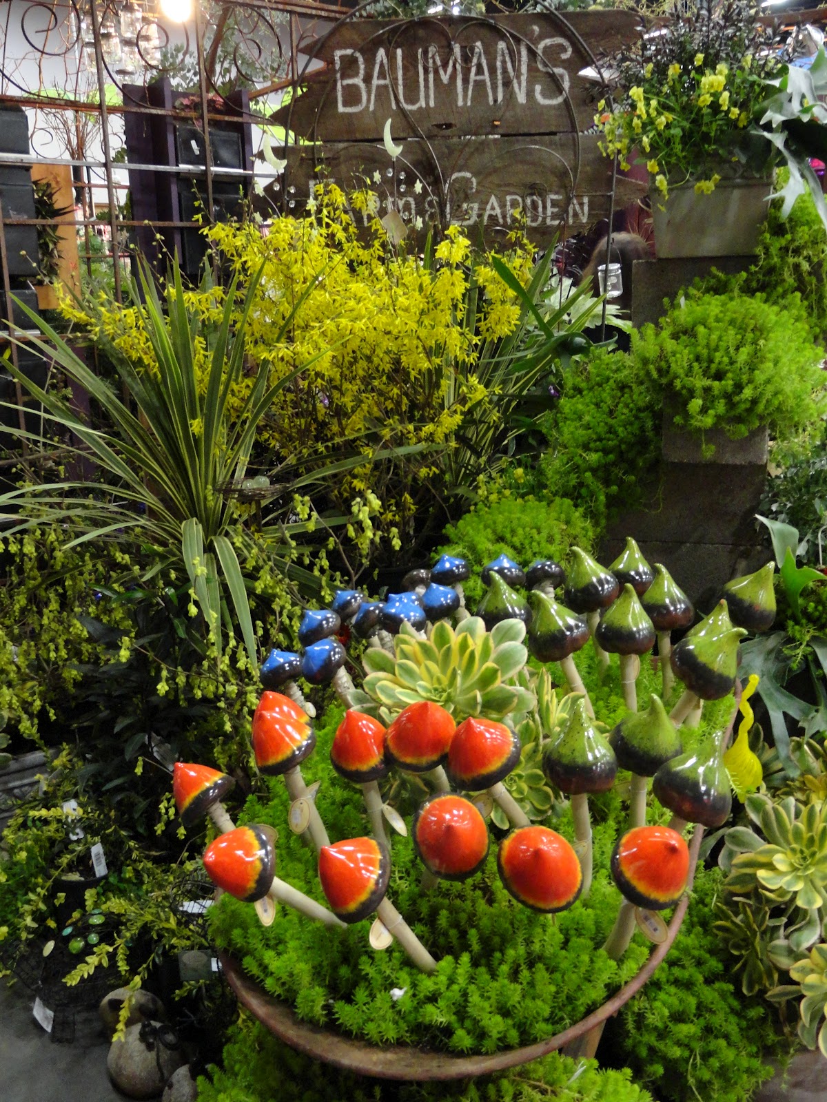 paradis express Danger Garden at the Portland Garden show