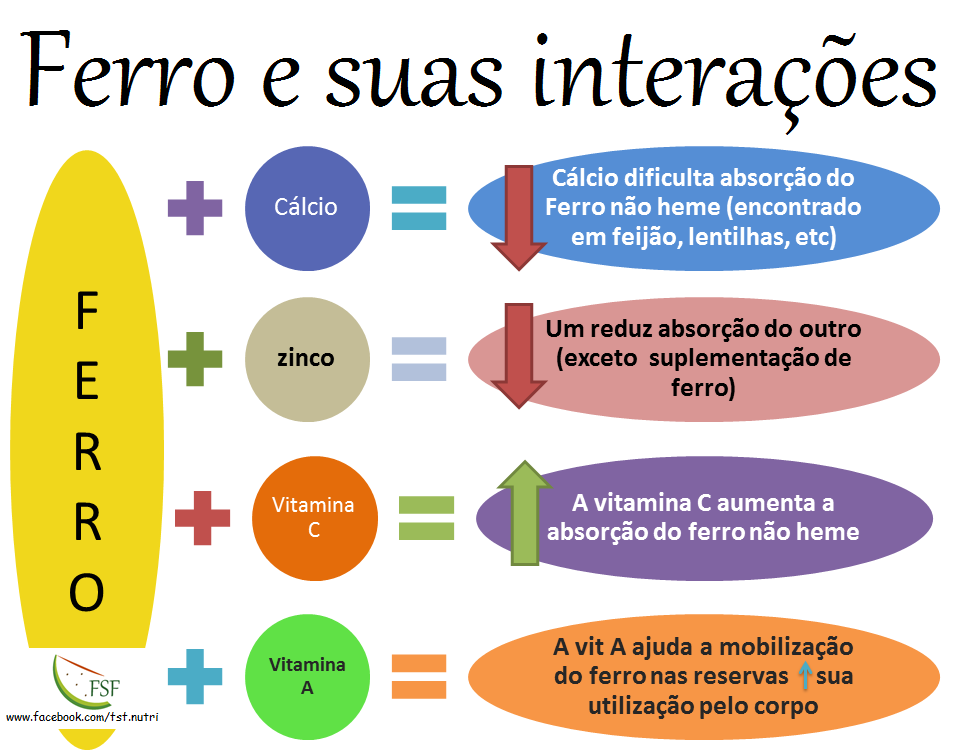 Ferro funções no organismo e fontes alimentares Ferro funções no organismo e fontes alimentares