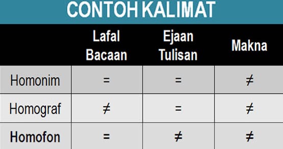 40 Contoh Kalimat Homonim Homograf Dan Homofon Materi Untuk Belajar