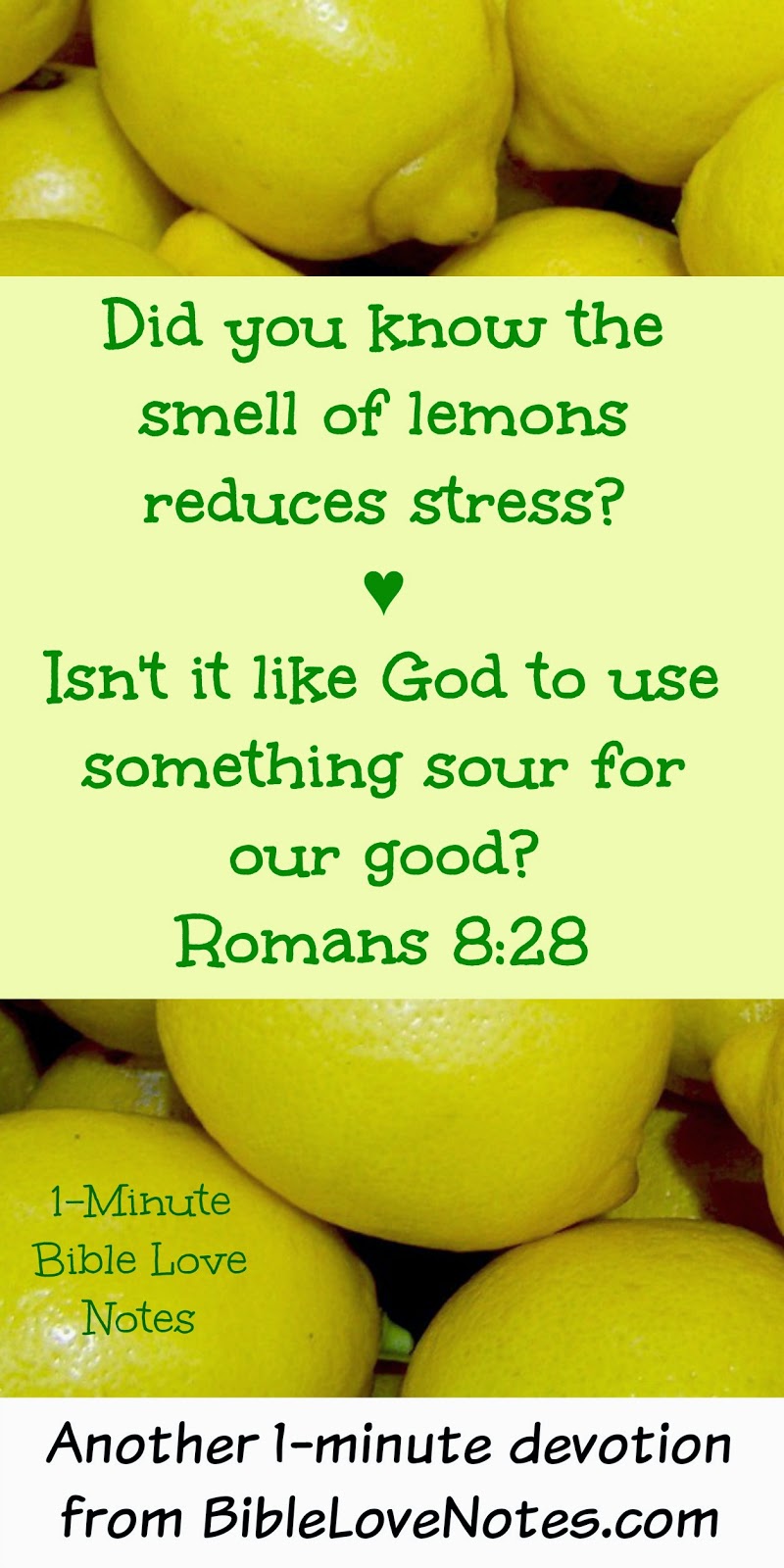 1Minute Bible Love Notes Sweet Lemons