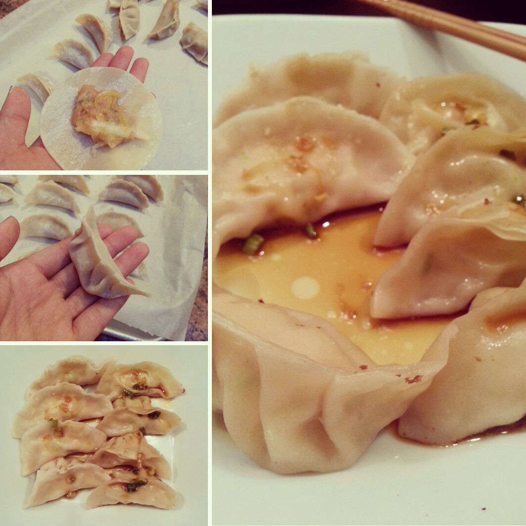 homemade chinese dumplings
