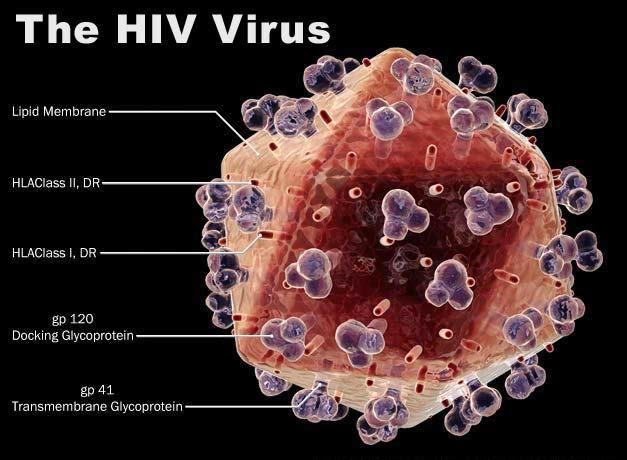 Ide Istimewa Bentuk Virus HIV, Pot Bergambar