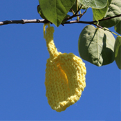 free knitting pattern leaf