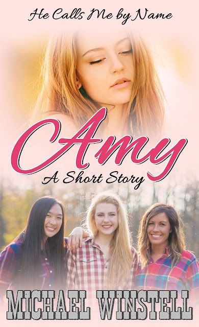 Amy, short story, Christian, fiction, girls, book cover, Jenny V Photography