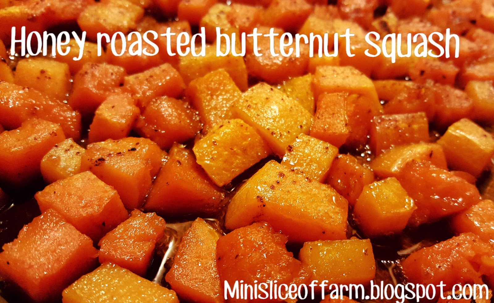 Mini Slice of Farm: Honey roasted butternut squash