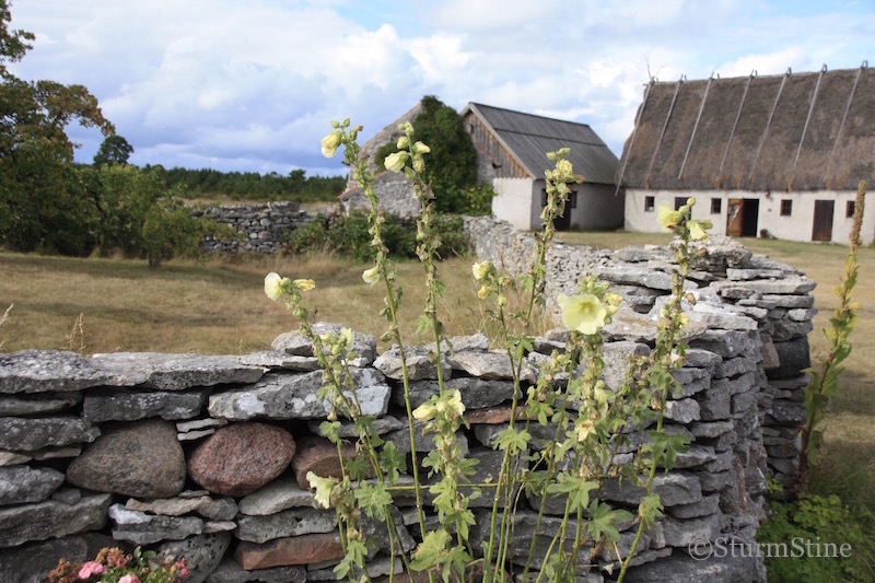 Sturm Stine Gotland Die Insel Der Felsen Und Schafe