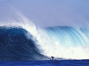 Surf 5.