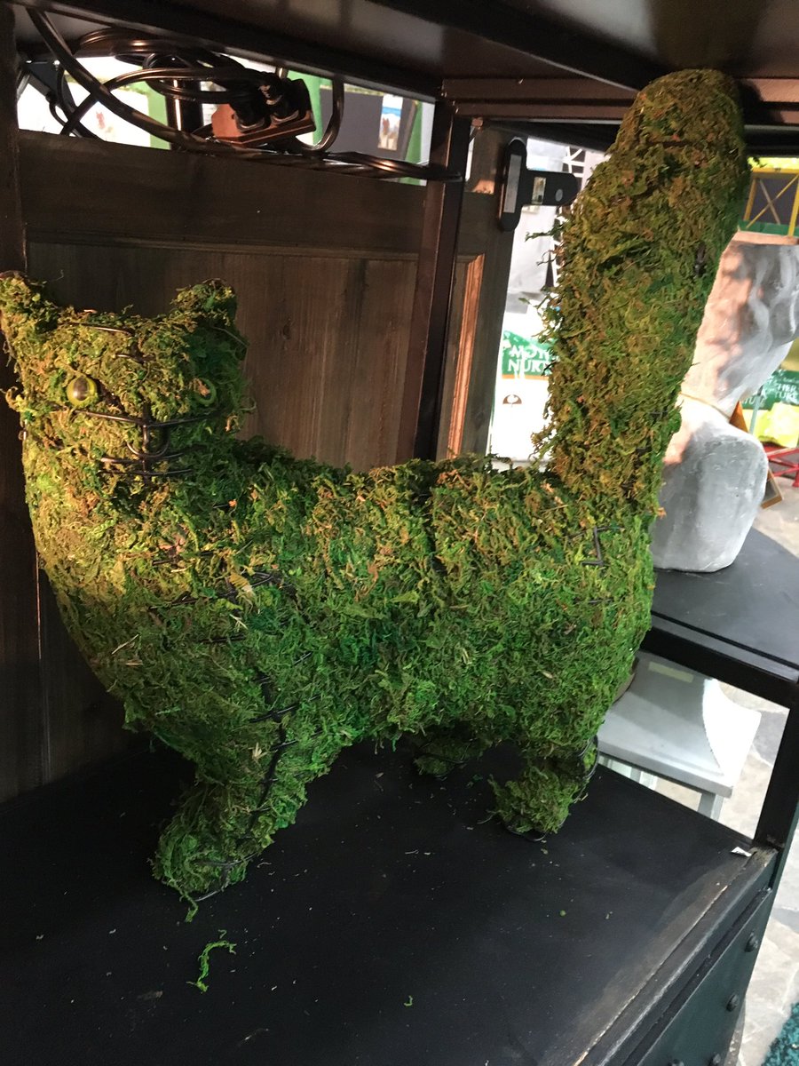 Cats in Gardens Moss Cat