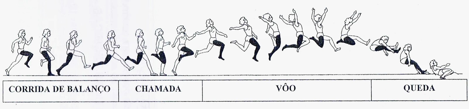 Фазы техники прыжка в длину с разбега. Три фазы прыжка в длину. Прыжок в длину с места. Три фазы прыжка в длину. Техника прыжка в длину с разбега.