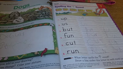 Raising Samuels Life: Homeschool Week 23