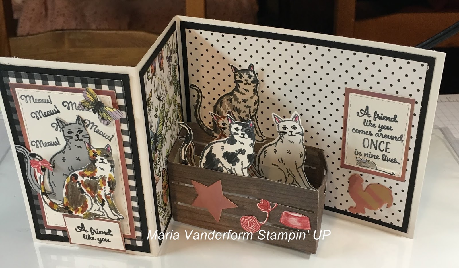 Crafty Maria's Stamping World Cats in a Crate