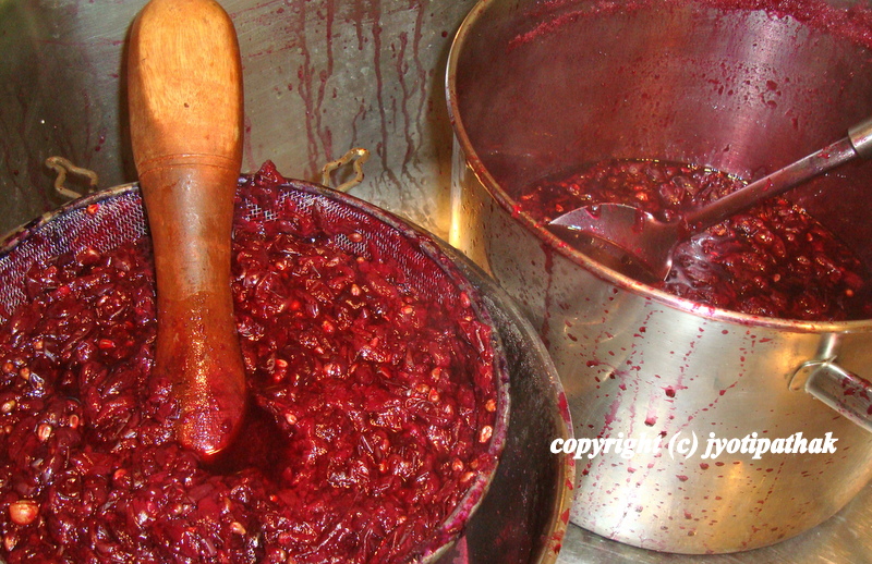 Taste of Nepal Fruit leather Maadaa (फलफूल को माड़ा)