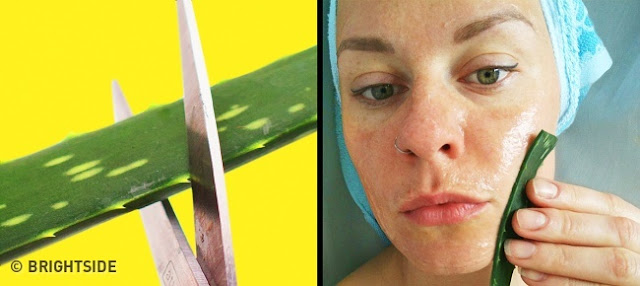 Wajah Akan Bersinar dan Awet Muda, dengan 8 Bahan Alami yang Ampuh ini Bisa Bantu Kamu Wajah Akan Bersinar dan Awet Muda, dengan 8 Bahan Alami yang Ampuh ini Bisa Bantu Kamu