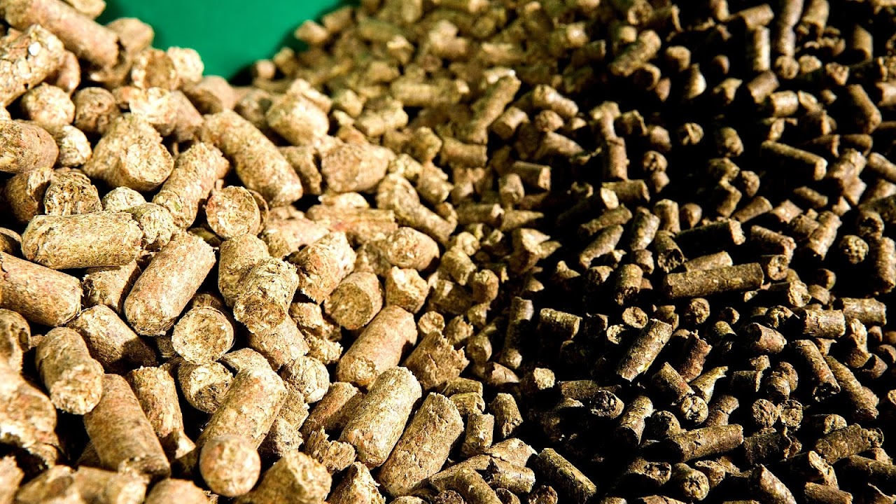 Copra Meal Horse Feed Horse Choices