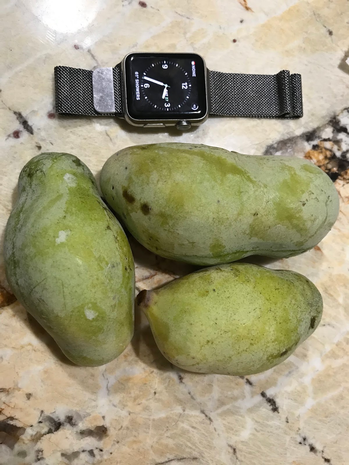 Sunflower Pawpaws
