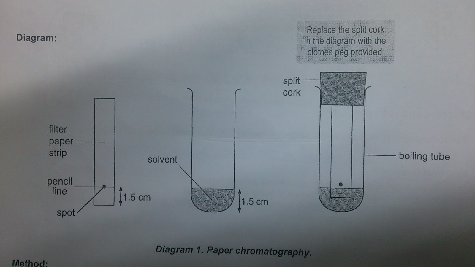 The Merlockian Chem Journal Chromatography practical.