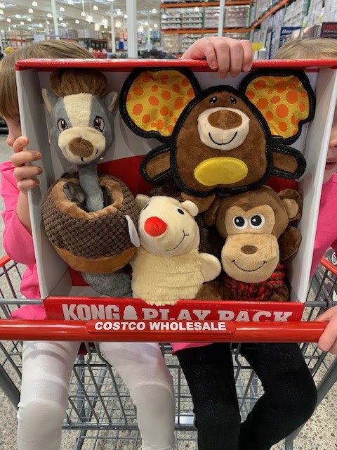 kong dog toys costco